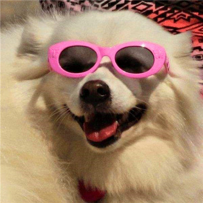 2023年头像女可爱萌搞怪图片(精选22张)