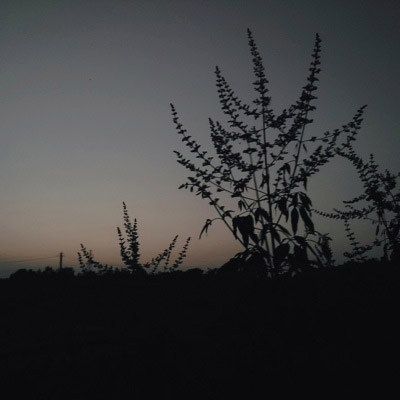 暗黑系幽灵风格个性头像(18张)