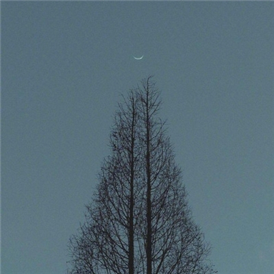 又简单又好看的头像(20张)