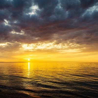 50岁女性微信头像女生简单大方(优选20张)