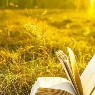 50岁女性微信头像女生简单大方(优选20张)