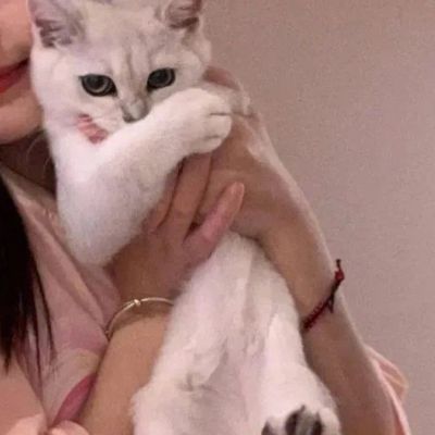 最稀有的情侣头像(精选18张)