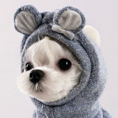 好看的狗狗微信头像(18张)