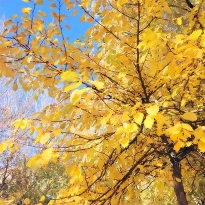 最新适合永久做头像的图片女(18张)