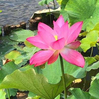 最新适合永久做头像的图片女(18张)