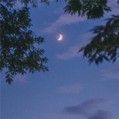 2023适合自己的头像(优选32张)