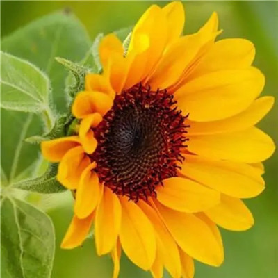 2023适合自己的头像(优选32张)