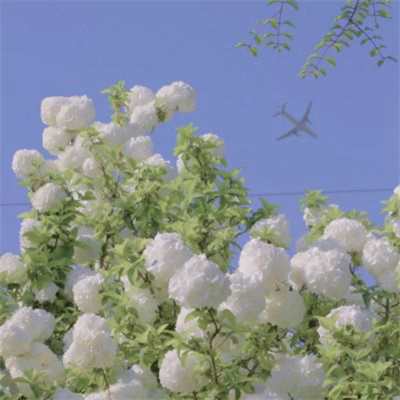 头像图片2023最火爆治愈(优选34张)