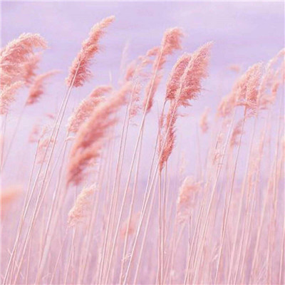 头像图片2023最火爆治愈(优选34张)