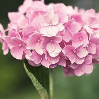 40一45岁女人微信头像风景(共32张)