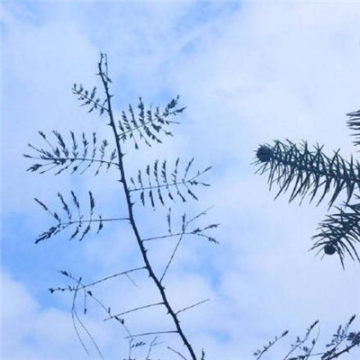 40一45岁女人微信头像风景(共32张)