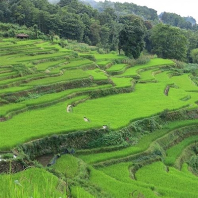 40一45岁女人微信头像风景(共32张)