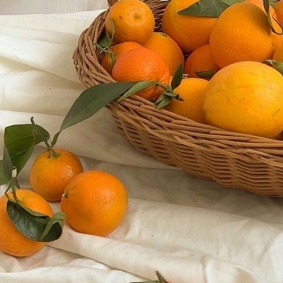 40一45岁气质女人头像(共30张)