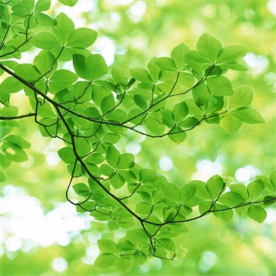 26一40岁女人微信头像风景(精选30张)