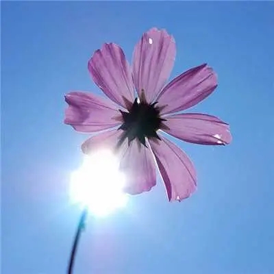 26一40岁女人微信头像风景(精选30张)