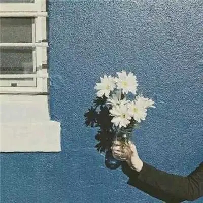 50岁有气质女人头像(共20张)