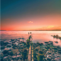 50岁有气质女人头像(共20张)