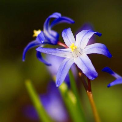 50岁有气质女人头像(共20张)