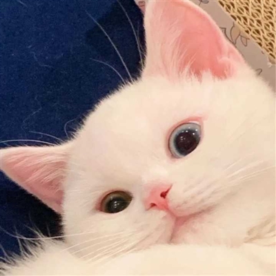 男生最爱的帅气qq头像(18张)