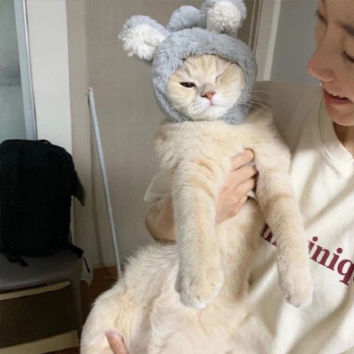 萌萌哒猫咪头像精选(优选18张)