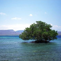 吉利富贵微信头像风景图片(18张)