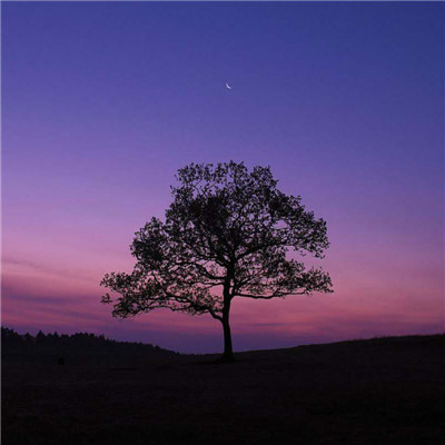 吉利富贵微信头像风景图片(18张)