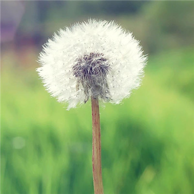 2023能招财带好运的风景头像(共20张)