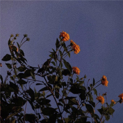 2023小红书头像图片女(共16张)