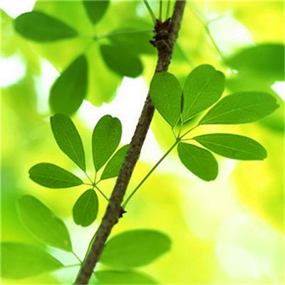 2023年微信头像最吉利好运图片(精选16张)