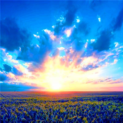 2023年微信头像最吉利好运图片(精选16张)