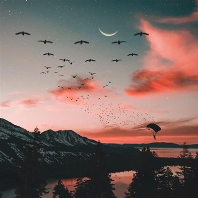 成熟女人味的微信头像图片(共16张)