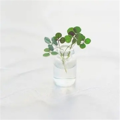 2023最简单的头像(共20张)