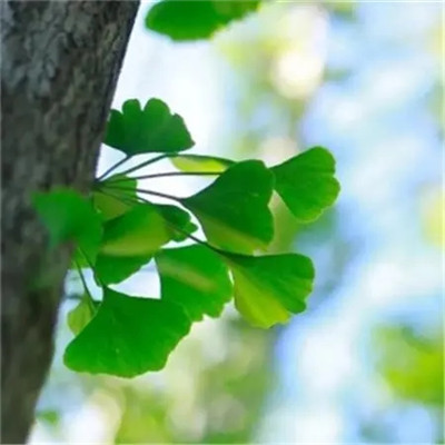 2023最简单的头像(共20张)