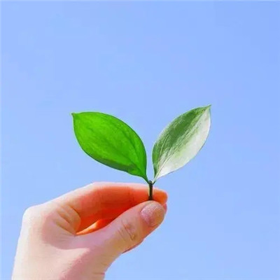 2023最简单的头像(共20张)