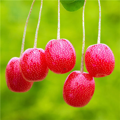 2023年自带好运头像(共18张)