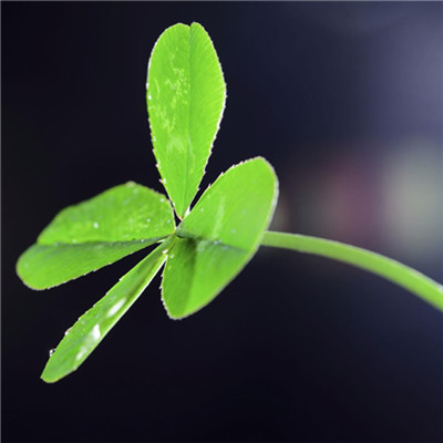 2023年自带好运头像(共18张)