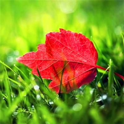 2023寓意好的头像(优选18张)