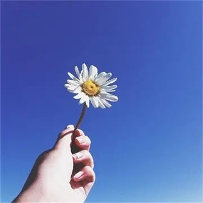 2023最潮最简单的头像(共16张)