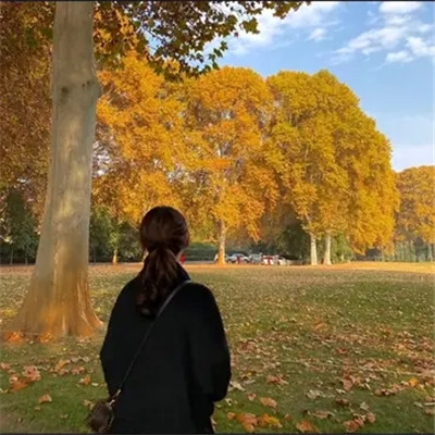 2023最潮最简单的头像(共16张)