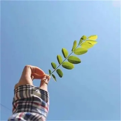 2023最潮最简单的头像(共16张)