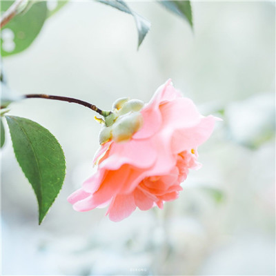 2023最潮最简单的头像(共16张)