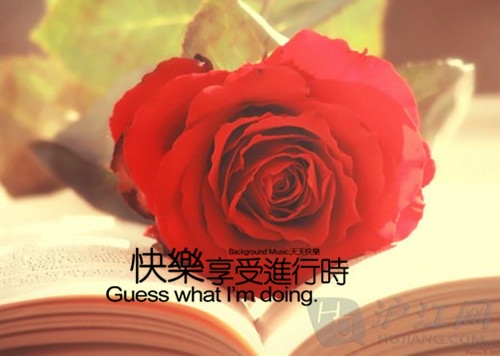 酒巷醉人情侣网名(精选102个)