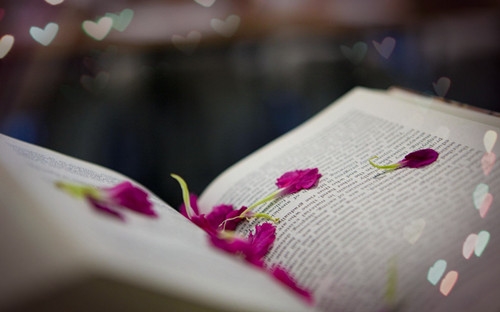 微信网名最新版好听有内涵(共148个) 微信网名最新版好听有内涵(共148个)