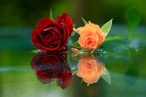 霸气犀利的个性网名大全(共200个)