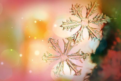 心痛心累心碎的网名(优选164个)