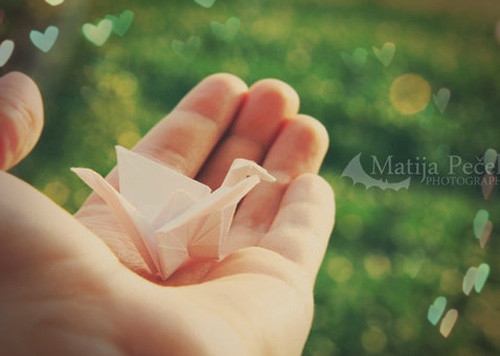 个性低调的网名(精选107个)