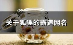 关于狐狸的霸道网名(113个)