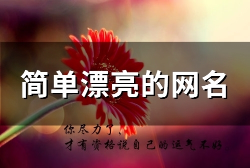 简单漂亮的网名(优选85个) 简单漂亮的网名(优选85个)