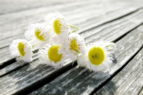 经典女人网名大全(共108个)