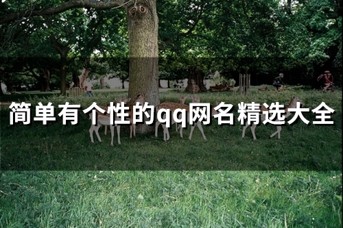 简单有个性的qq网名精选大全(113个)